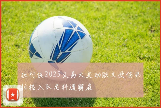 独行侠2025交易大变动欧文受伤弗拉格入队尼科遭解雇