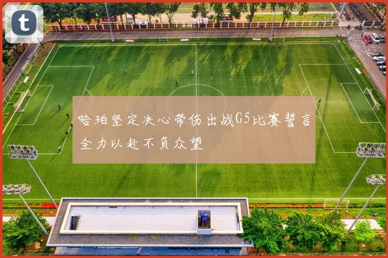 哈珀坚定决心带伤出战G5比赛誓言全力以赴不负众望