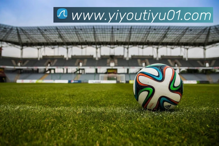 易游体育平台生态图