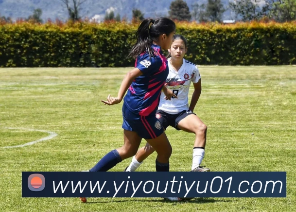 数据防护可视化